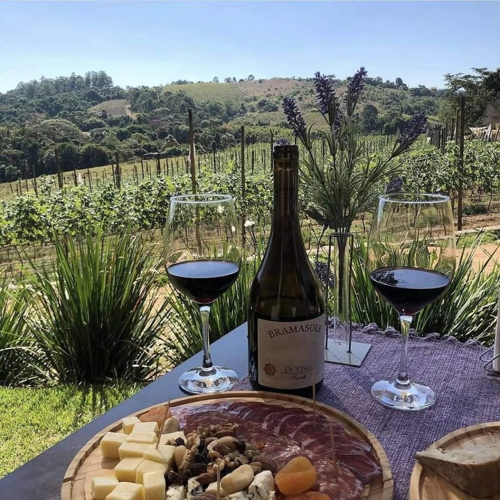 Vinícolas de Itupeva com produção de vinhos e sucos artesanais